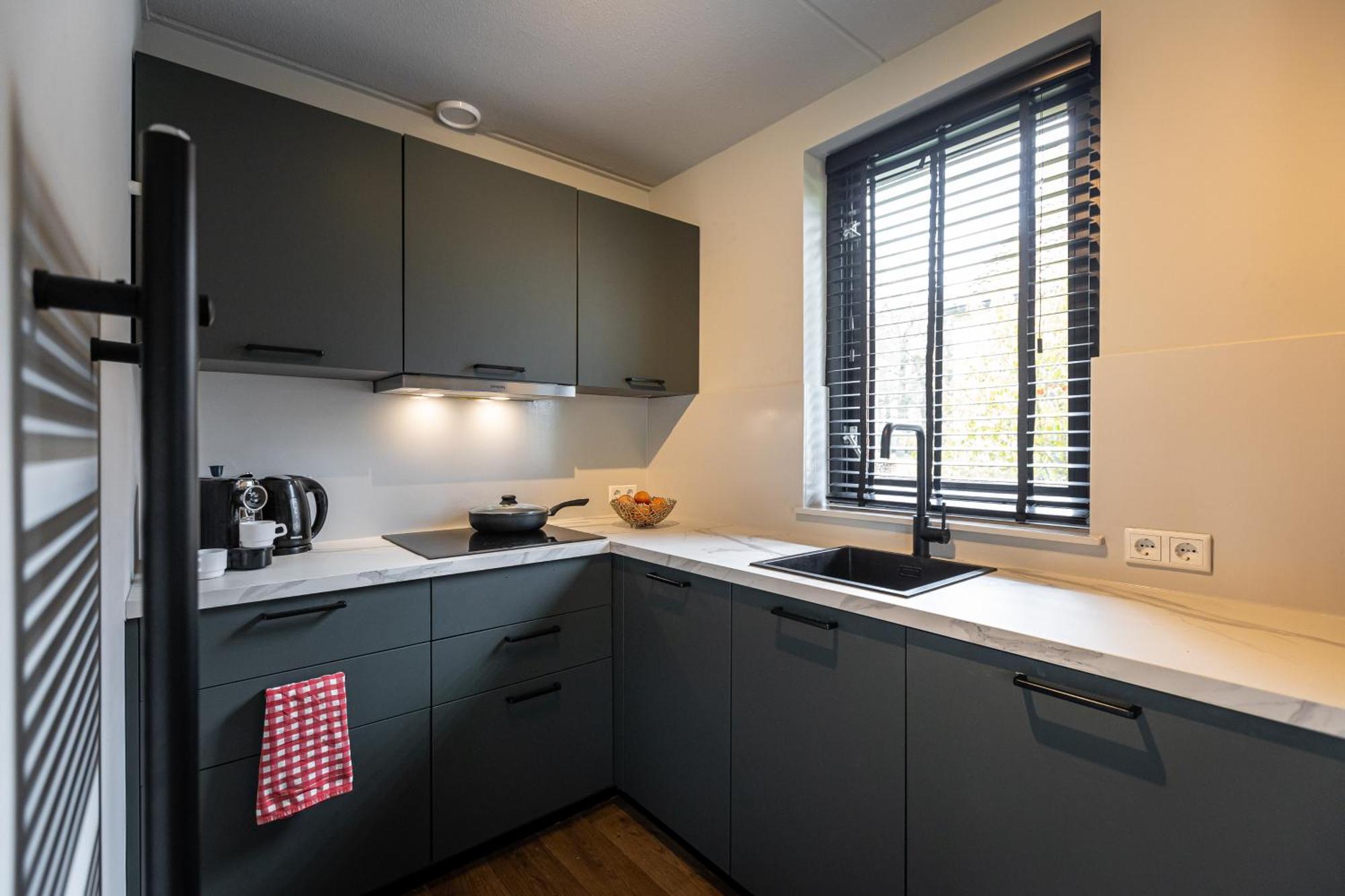 Luxe Vakantiehuisje - Sauna - Natuur - Strand Ewijk Exterior foto